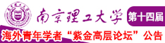 骚穴网站在线播放南京理工大学第十四届海外青年学者紫金论坛诚邀海内外英才！